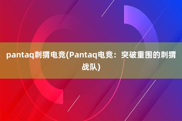 pantaq刺猬电竞(Pantaq电竞：突破重围的刺猬战队)