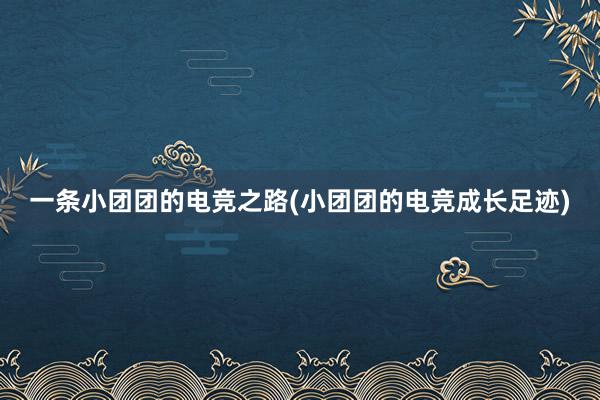 一条小团团的电竞之路(小团团的电竞成长足迹)