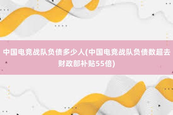 中国电竞战队负债多少人(中国电竞战队负债数超去财政部补贴55倍)