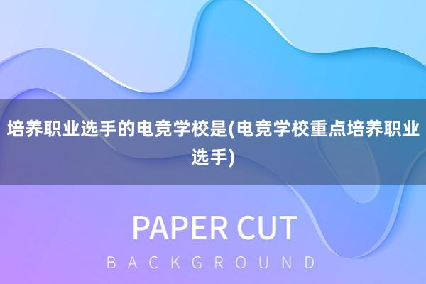 培养职业选手的电竞学校是(电竞学校重点培养职业选手)