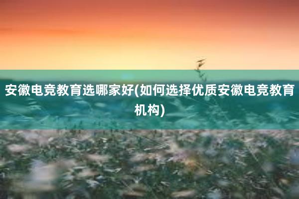 安徽电竞教育选哪家好(如何选择优质安徽电竞教育机构)