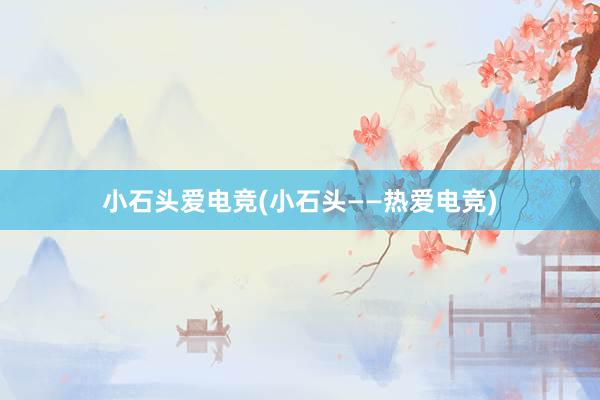 小石头爱电竞(小石头——热爱电竞)