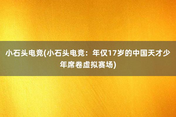 小石头电竞(小石头电竞：年仅17岁的中国天才少年席卷虚拟赛场)