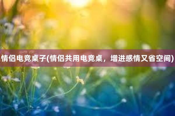 情侣电竞桌子(情侣共用电竞桌，增进感情又省空间)