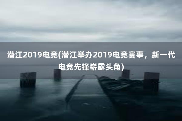 潜江2019电竞(潜江举办2019电竞赛事，新一代电竞先锋崭露头角)