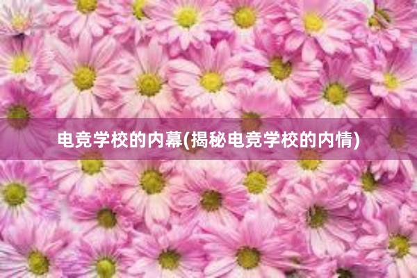 电竞学校的内幕(揭秘电竞学校的内情)