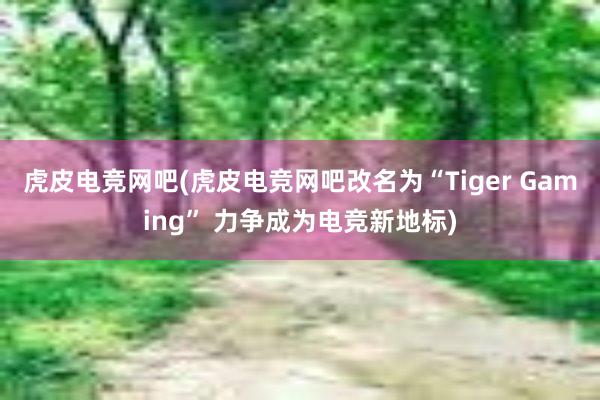 虎皮电竞网吧(虎皮电竞网吧改名为“Tiger Gaming” 力争成为电竞新地标)