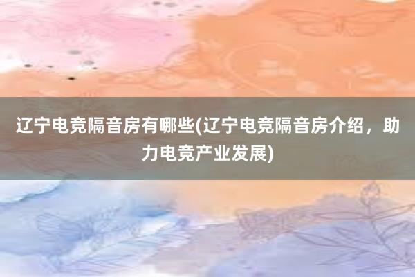 辽宁电竞隔音房有哪些(辽宁电竞隔音房介绍，助力电竞产业发展)