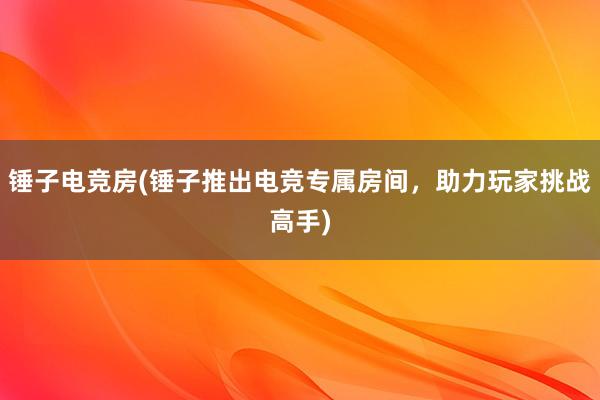 锤子电竞房(锤子推出电竞专属房间，助力玩家挑战高手)