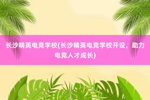 长沙精英电竞学校(长沙精英电竞学校开设，助力电竞人才成长)