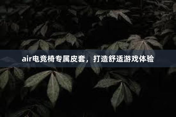 air电竞椅专属皮套，打造舒适游戏体验