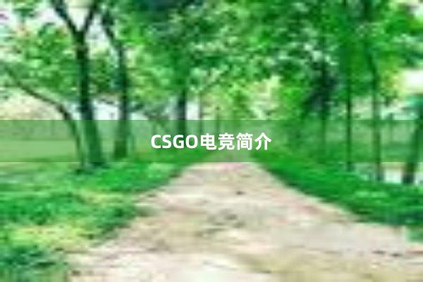 CSGO电竞简介