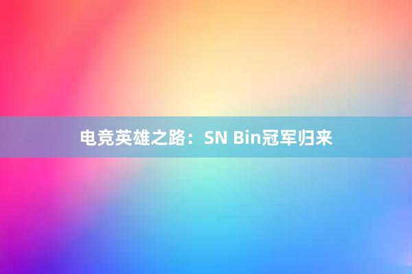 电竞英雄之路：SN Bin冠军归来