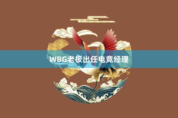 WBG老板出任电竞经理