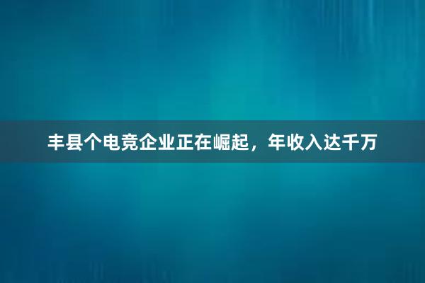 丰县个电竞企业正在崛起，年收入达千万