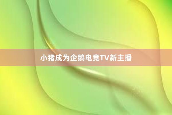 小猪成为企鹅电竞TV新主播