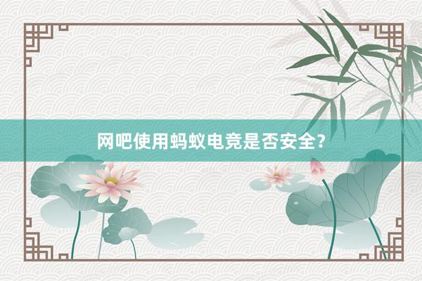 网吧使用蚂蚁电竞是否安全？