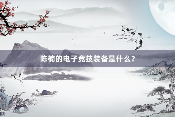 陈楠的电子竞技装备是什么？